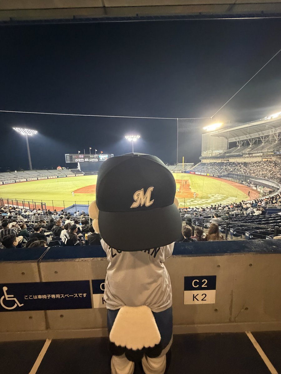 chibalotte_mar's tweet photo. にいがたたのしかった☆ アルファくんともっとなかよしになれたし、くによしせんしゅにもあえてズーちゃんうれしい！ またにいがたにえんそくにいきたい

ズーちゃんより☆

#chibalotte #zu_chan https://t.co/oe0Jh0NneL