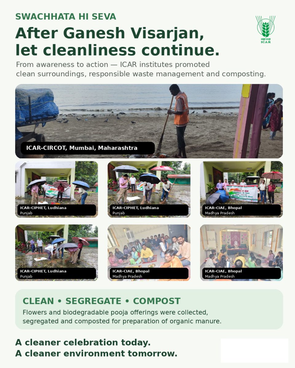 icarindia's tweet photo. After Ganesh Visarjan, the responsibility continues. ICAR institutes cleaned, segregated and composted biodegradable offerings—turning waste into organic manure. #SwachhataHiSeva #ICAR @ChouhanShivraj @PIB_India @AgriGoI https://t.co/79OlbbCH3h