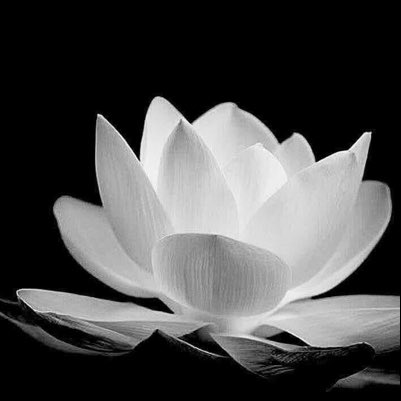 OANTMf9qf's tweet photo. #ẢnhHồsơMới https://t.co/p1dNJPw1nE