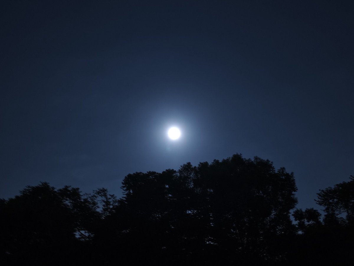 blablalavender's tweet photo. 漂亮的月亮！ 🌕

What a bright full moon!  🌕 https://t.co/CWUl43PlBF