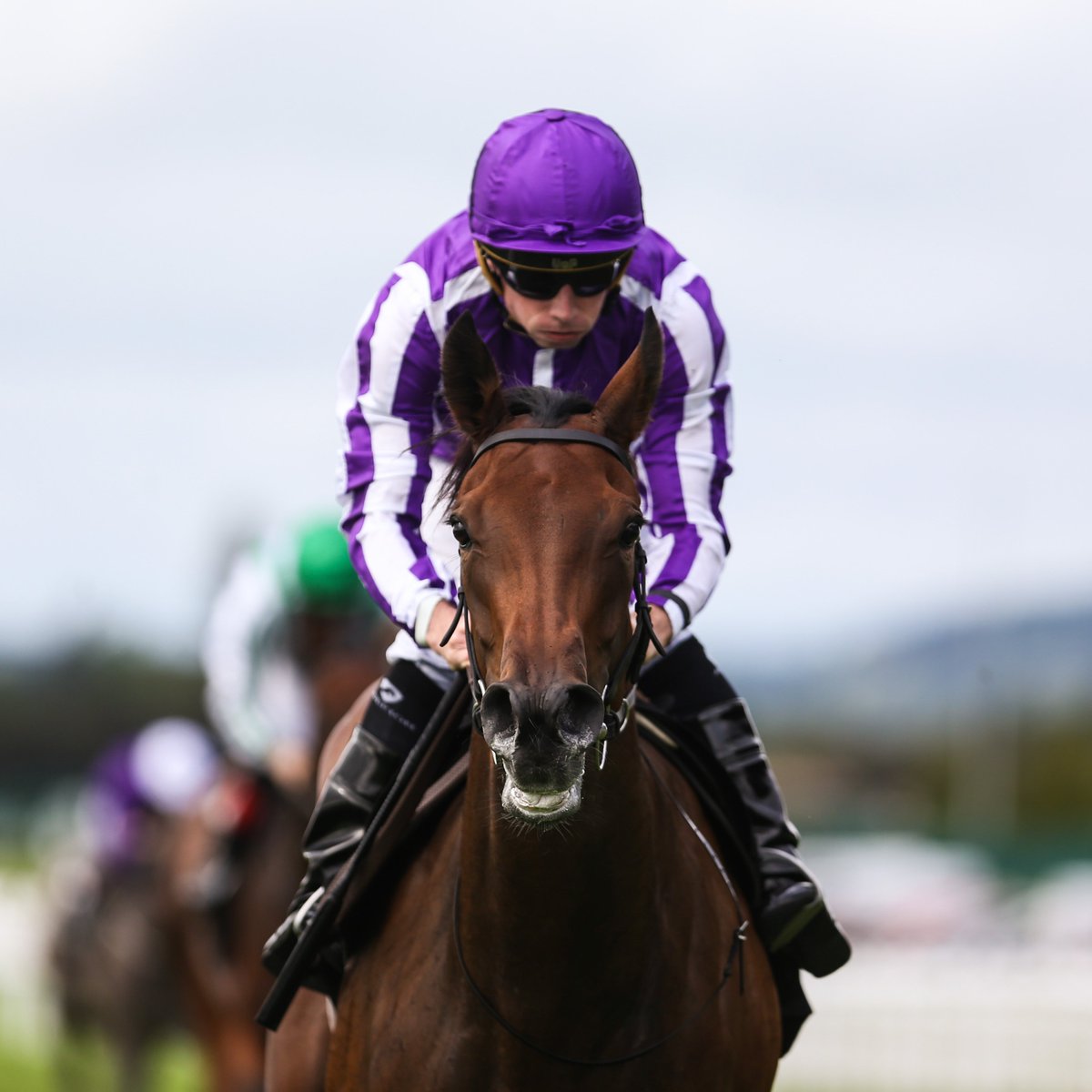 AtTheRaces's tweet photo. What a performance! 🤩

Sun Goddess stamps her authority with a sparkling display in the Group One Cheveley Park Stakes... 🌟 https://t.co/z82uxsdjVb