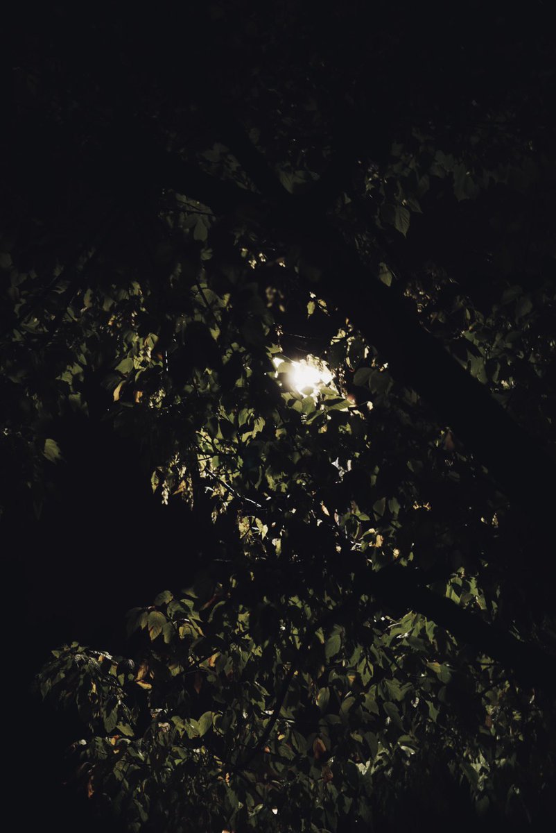 Rei0AM tweet picture