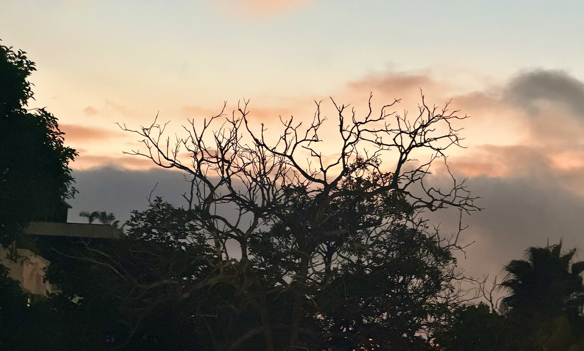 militakyar's tweet photo. #naturelovers #skytoday #delhidiaries #india https://t.co/d1paPDNjlM
