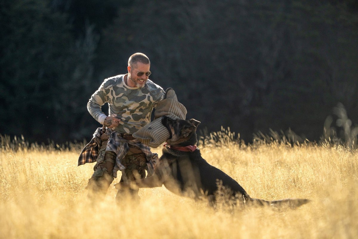 FilmSaya's tweet photo. 『ハート・オブ・ビースト』見ました。
戦地でキズを負った犬と人間の、種を越えた信頼と友情を描いた作品。

設定や特に装備品などに少し強引な部分もありましたが犬、オーディンがかわいいので良し。

犬4匹起用だったのかな(エンドロールより)？

#ハートオブビースト
#1日1本オススメ映画★３ https://t.co/F2yKXHTViu