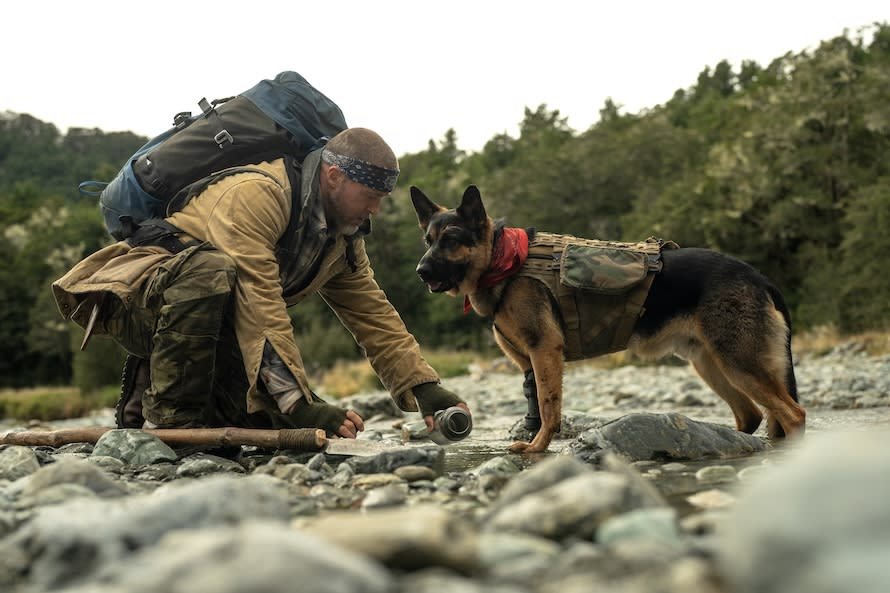 FilmSaya's tweet photo. 『ハート・オブ・ビースト』見ました。
戦地でキズを負った犬と人間の、種を越えた信頼と友情を描いた作品。

設定や特に装備品などに少し強引な部分もありましたが犬、オーディンがかわいいので良し。

犬4匹起用だったのかな(エンドロールより)？

#ハートオブビースト
#1日1本オススメ映画★３ https://t.co/F2yKXHTViu