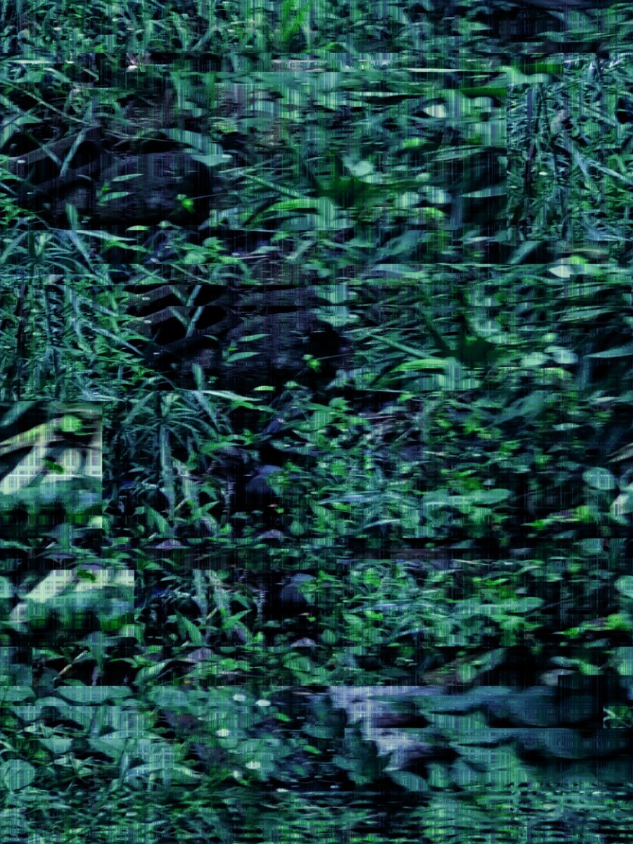 NonNonAddiction's tweet photo. 『Green Ambience』
created by NonNon∆ddiction.
Member on Twitter
egg @egg_210
My Other Project.↓
the cocaine's pix @CocainePix
#NonNonAddiction
#ビオトープ #生茂る植物🌱
#GreenArt #Nature #glitch
#非生成デジタルアート
#DigitalArtist #VisualArt
#現代アート #collage
#芸術の輪 https://t.co/sHHwZnxxZF