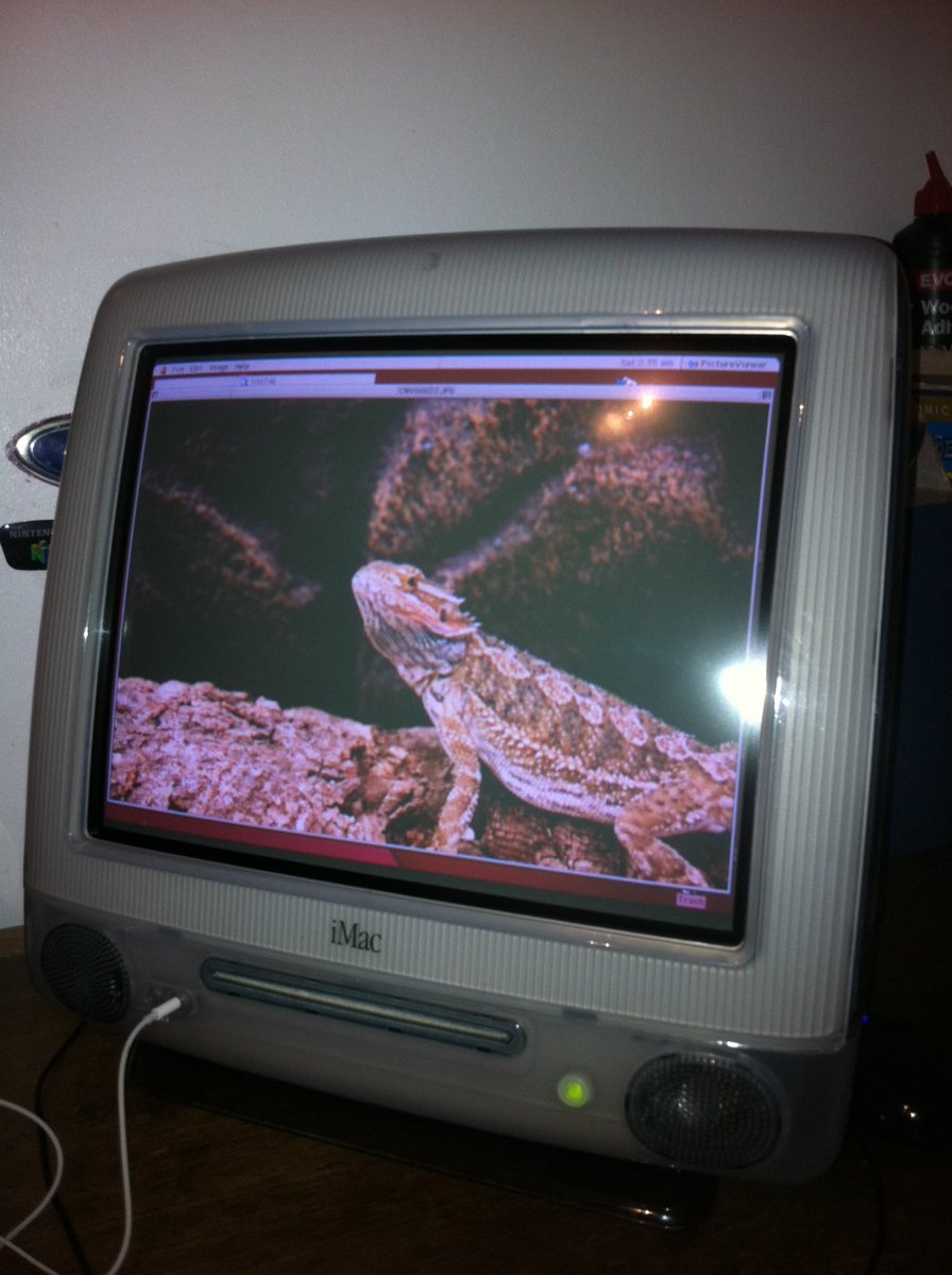 SamGate360's tweet photo. All my #Apple #Macintosh #computers in 2012 when i was 15. £6 for the lot all working on #MacOS 9 in 2010 at a car #bootsale. I updated them the #Mac #OS #Panther
How times have changed. Now they are worth 10 billion dollars on #eBay broken and unrepairable in 2026. #oldskool https://t.co/sU2wBvyQGT