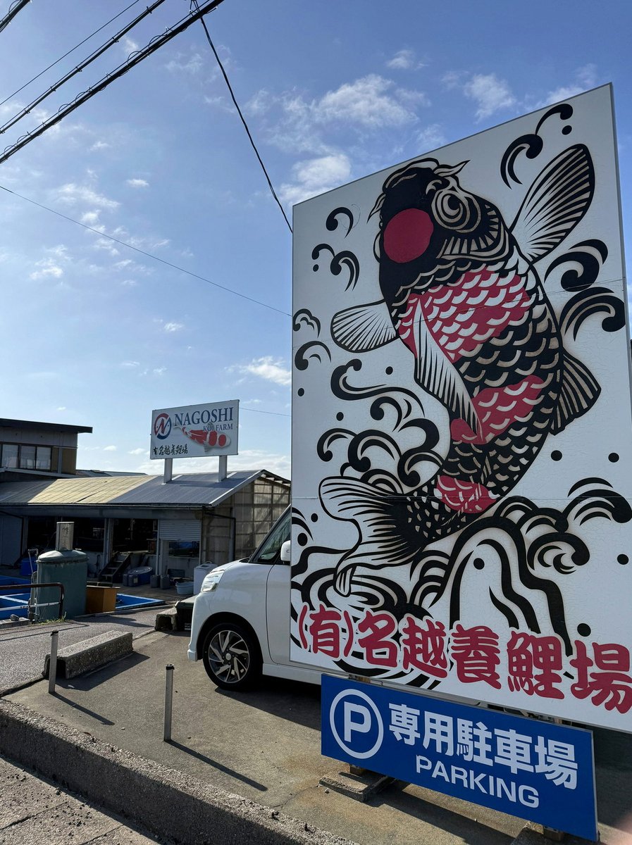 BPops10's tweet photo. ほぼこんにちは、おやすみなさい
今日は2026年9月16日、水曜日です
どうでもいいことなんだけど普段部屋にいる時に首輪してて今日買い物行く時に外し忘れるとこやった
前にゴミ出ししてたら管理会社の人？が清掃に来てたんかなんか二度見されてたし気をつけなw
それでは皆さん
今日も一日ご安全に⛑ https://t.co/ujmQ1kC1nE