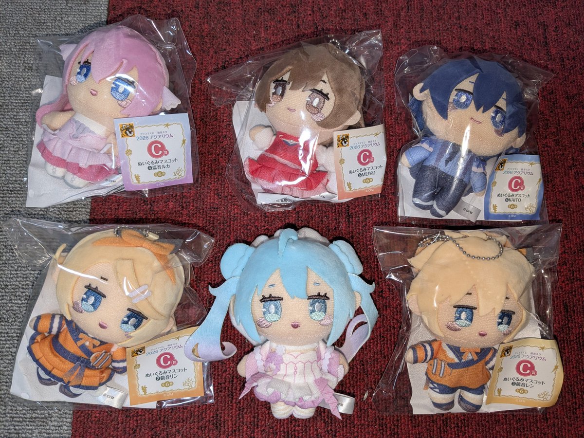 0101025's tweet photo. 今回引いたグッスマくじの初音ミク、可愛くてぬいコンプ🪼🫧🐠🫧 https://t.co/Qzj20pXsAI