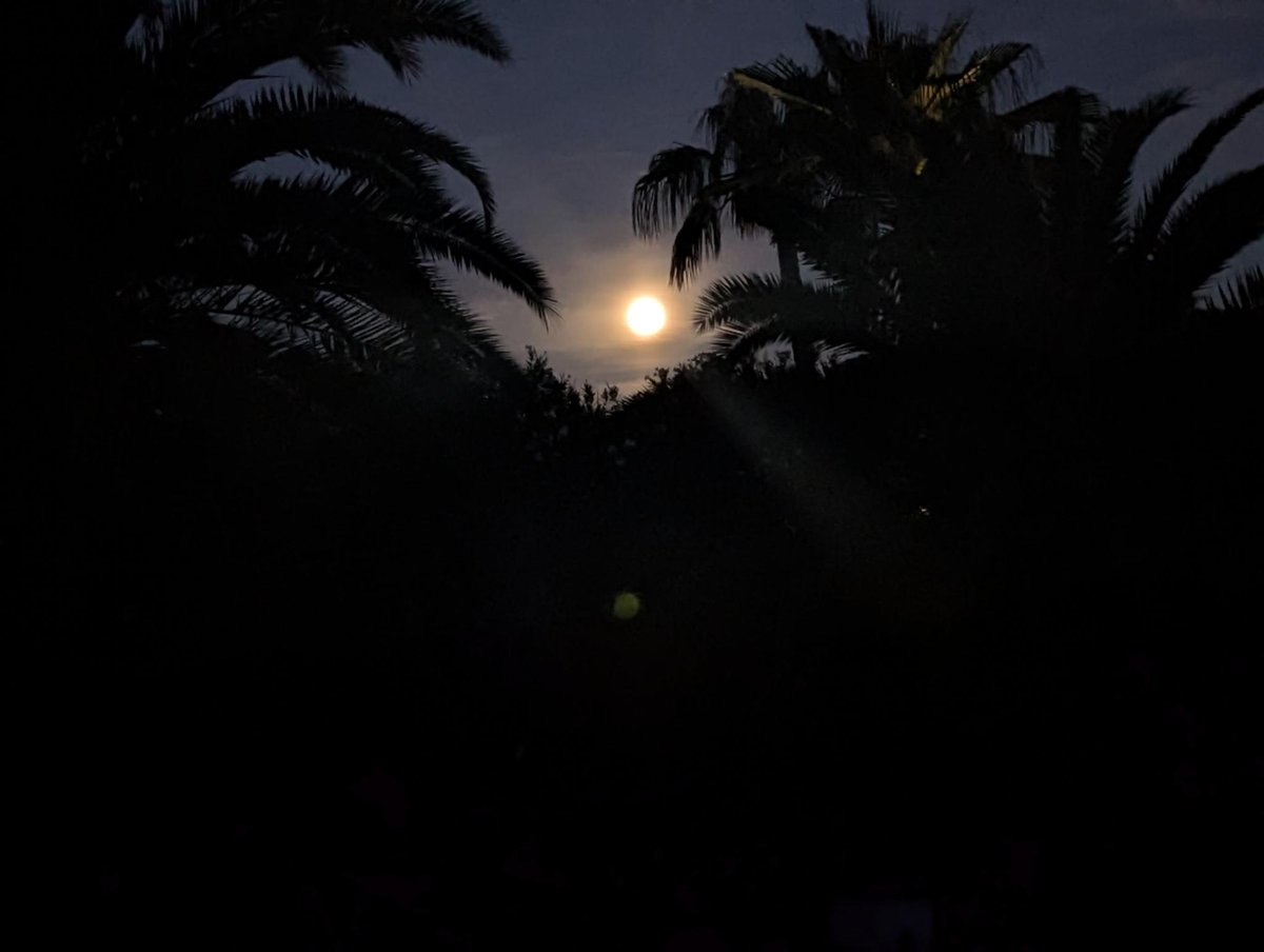 Bryanne's tweet photo. Talking to the void... 
When there is nothing but stillness surrounding me, the moon—still shining bright in all her beauty—truly makes for an idyllic morning. I take it all in with that first sip of my warm, Brazilian dark roast, a fragrant, soul-filling coffee. ☕️💚 https://t.co/cMMpu0BdnH