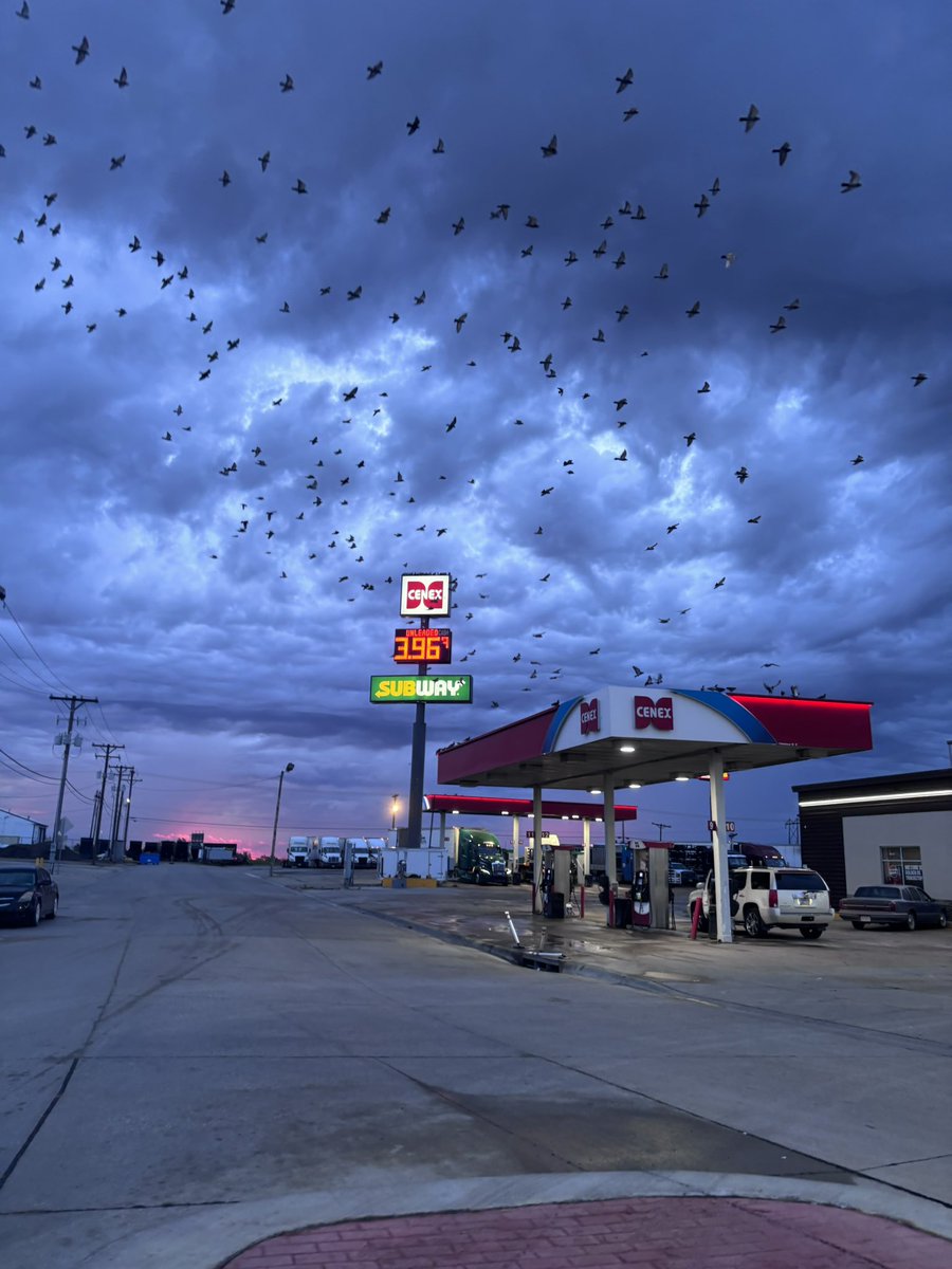 zoethorogood's tweet photo. middle of nowhere America has the most incredible sky https://t.co/PuCUzhebyc