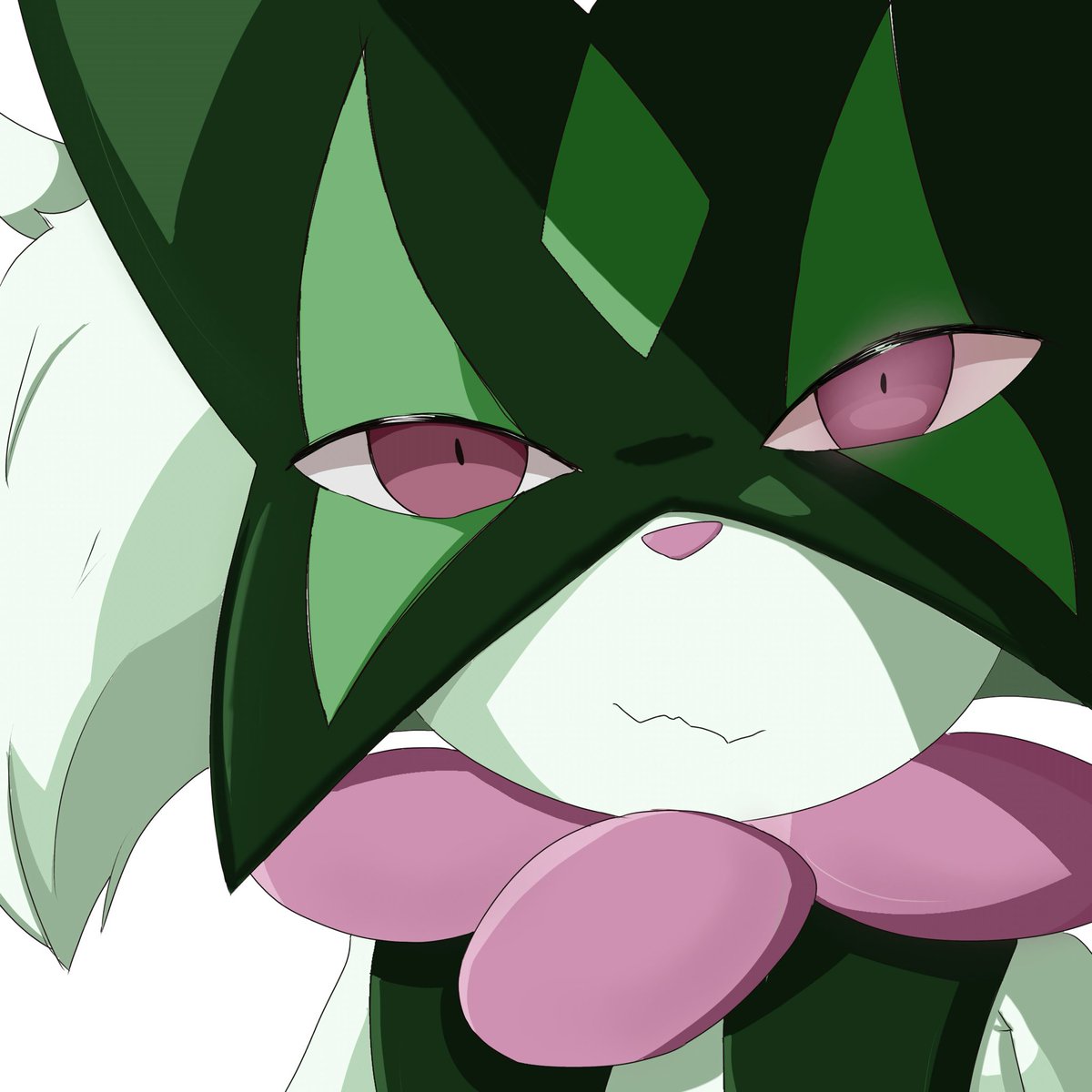 RukeTempest_77's tweet photo. トレーナーを見つめるマスカーニャ…♡

自分の絵柄で描いたマスカーニャ！！
(一時間で完成した〜) https://t.co/aGV4NuiRoO
