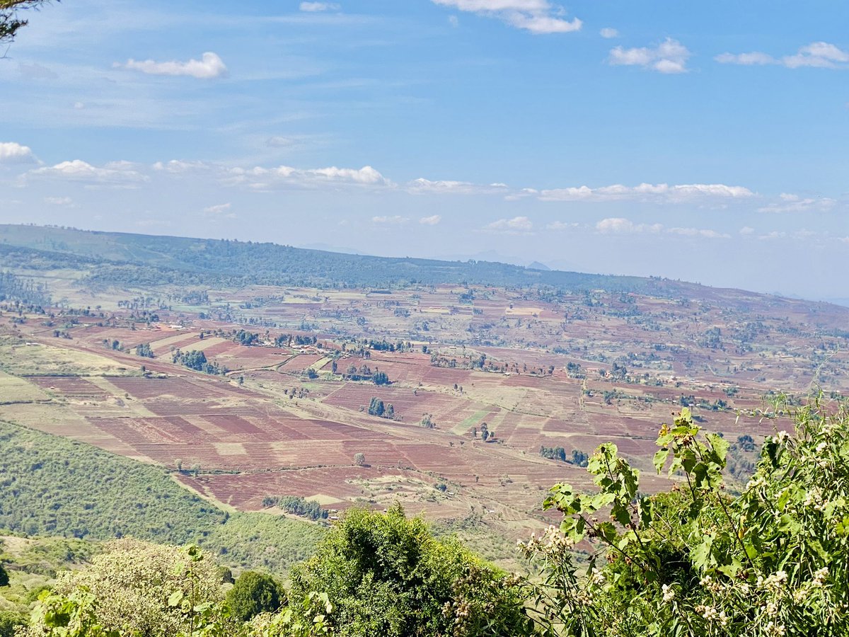 Perunomad's tweet photo. Postcard from Mt. Elgon National Park. 📍 Endebess bluff https://t.co/KMAkgVx0LD