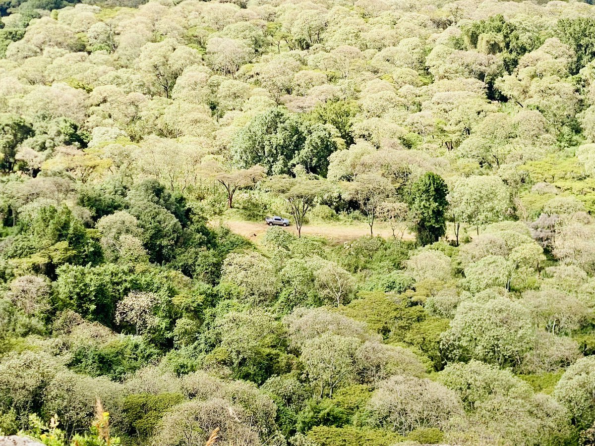 Perunomad's tweet photo. Postcard from Mt. Elgon National Park. 📍 Endebess bluff https://t.co/KMAkgVx0LD
