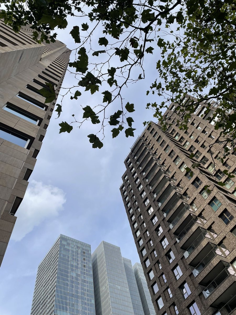 voshans's tweet photo. Ondertussen in #Rotterdam…
Zaterdag 26 september 2026, 15.30 uur
#VandaagGemaakt #Wilhelminapier
#CameraJapanFestival #NHow
#citylife #stadsleven #cityview
#stadsgezicht #streetlife #straatleven
#urbanphotography #fotografie
#streetphotograpby #photography https://t.co/tL2Jvyv7UL