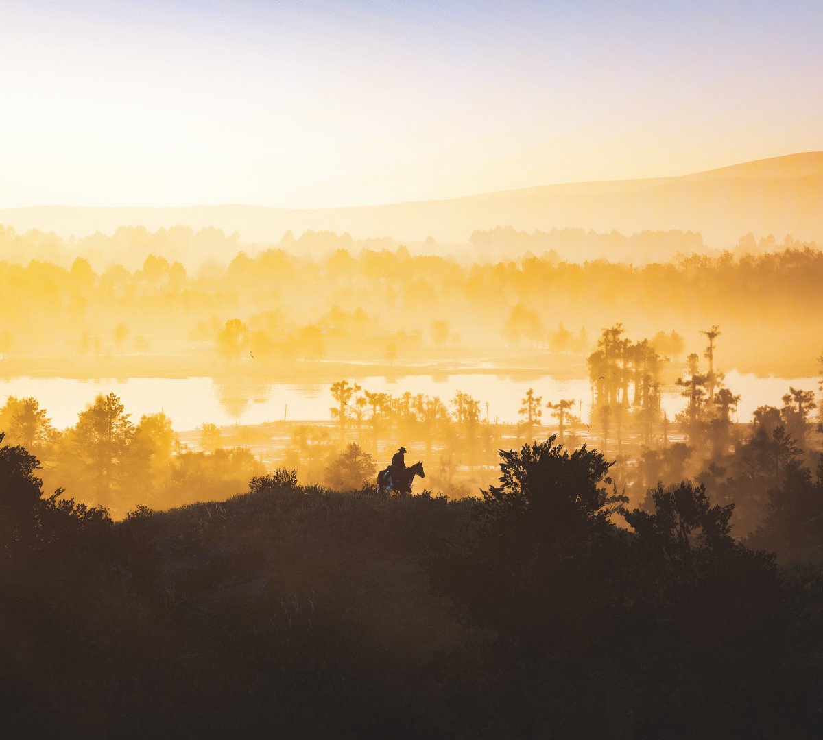 Ruleerx's tweet photo. Red Dead Redemption 2 https://t.co/26ZyMYcb16