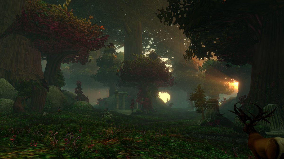 silverybarbs's tweet photo. good morning from sunny ashenvale 💜 https://t.co/lMsNpoN9km