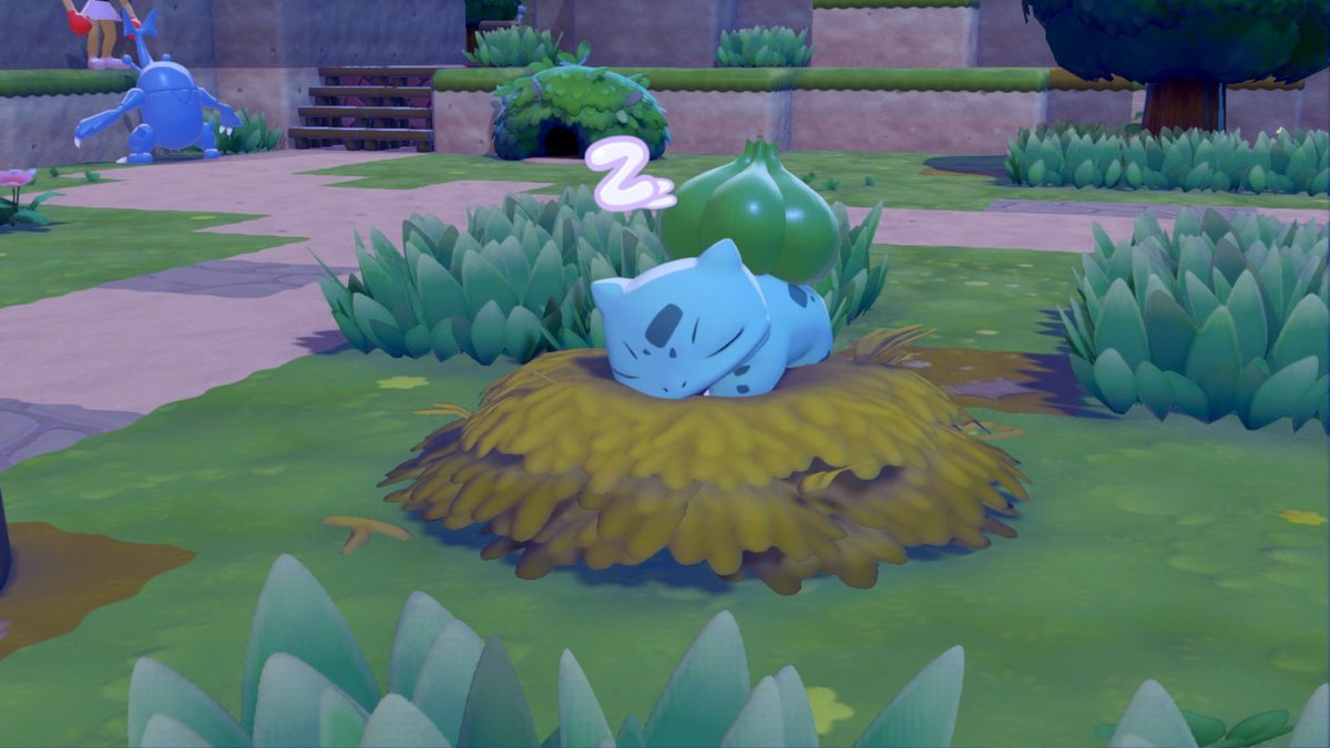 na__gi8729's tweet photo. sleeping cuties🌙🫧

#ぽこあポケモン 
#pokopia https://t.co/1yDq6wFREz