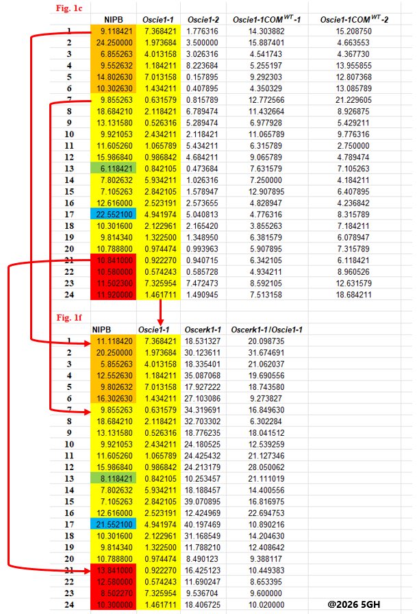 KamounLab's tweet photo. Yet another paper with made-up data. What happens now? #sciencecrisis #NatureRipoffs @Nature https://t.co/D3AlBh7K16 https://t.co/iUAVEhZ38a