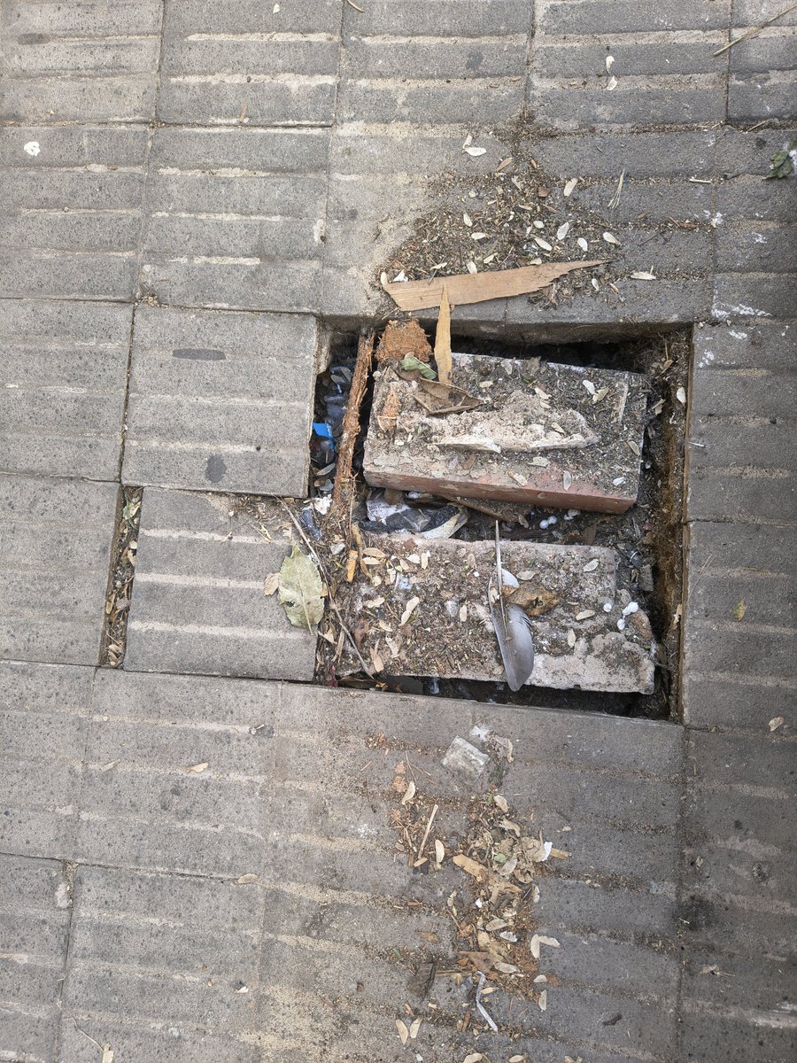 CalleDeRosario's tweet photo. #Atencion Mendoza 1834
Socavón en Vereda paso empresa al servicio #EPE @epeoficial @anahiprodriguez
@emergenciasAR https://t.co/pjhRRZOyT9