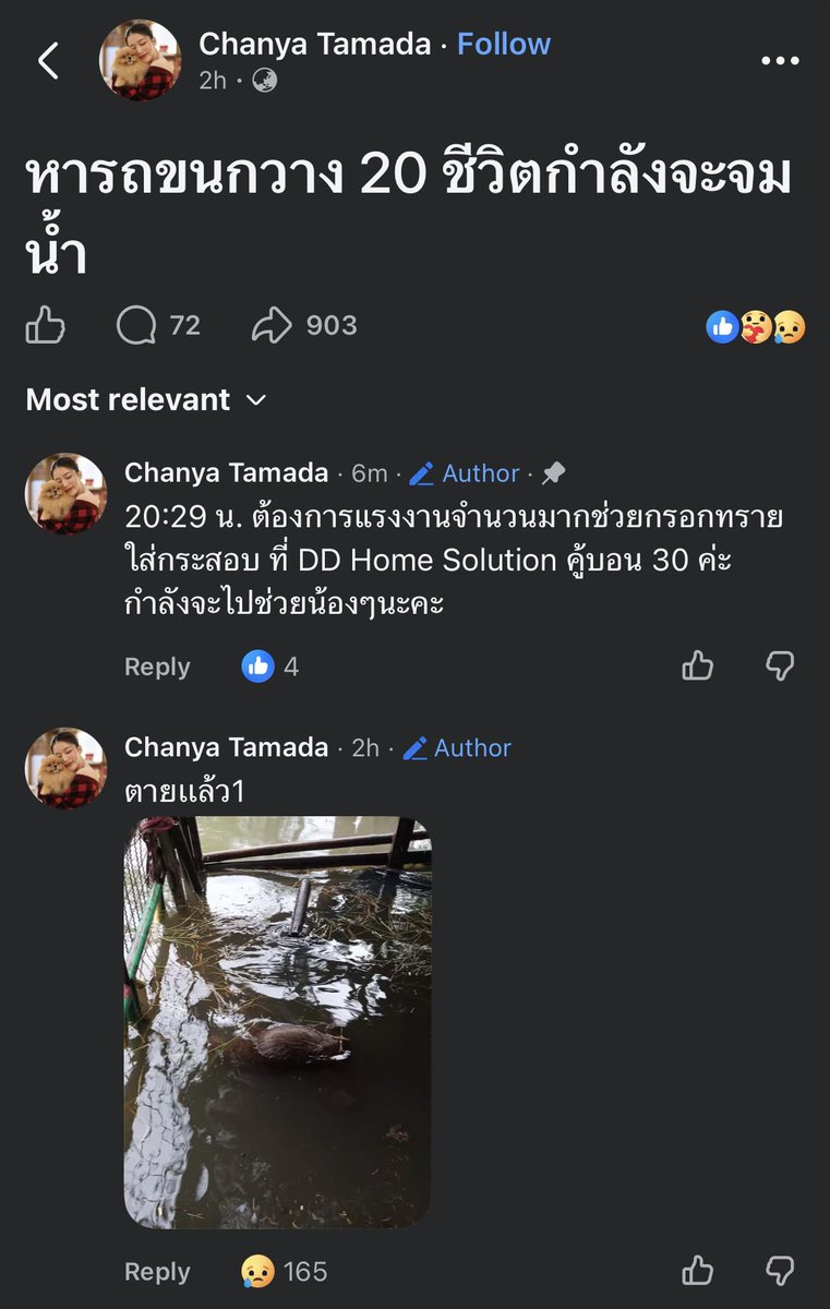korfor29's tweet photo. ดันค่ะ ช่วยแชร์นะคะ

#น้ำท่วม  
#น้ําท่วมกรุงเทพ 
#อุทกภัย 
#ฝนตก https://t.co/jZnDEf4Z7d