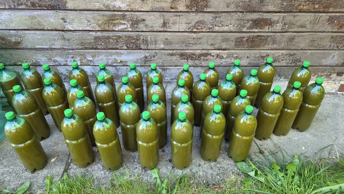 mariechr77's tweet photo. Moštujeme. 😁🍎🍏
#Vysočina
#jablka https://t.co/qH68vzcsTk