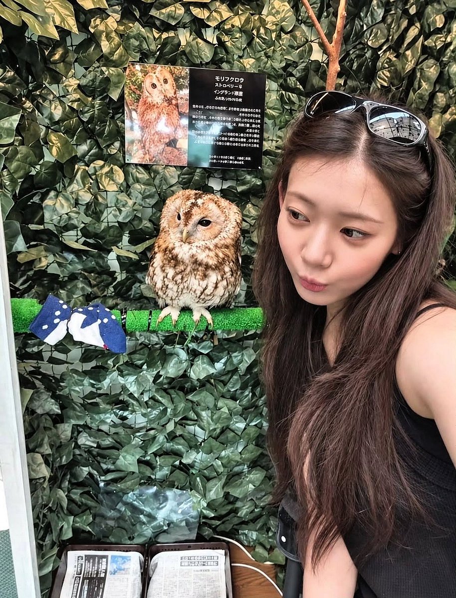 SHADOW_6565's tweet photo. CHIROSA 💕 : Kamakura 
#CHIQUITA #RORA #ASA https://t.co/cKIOGb1dRw