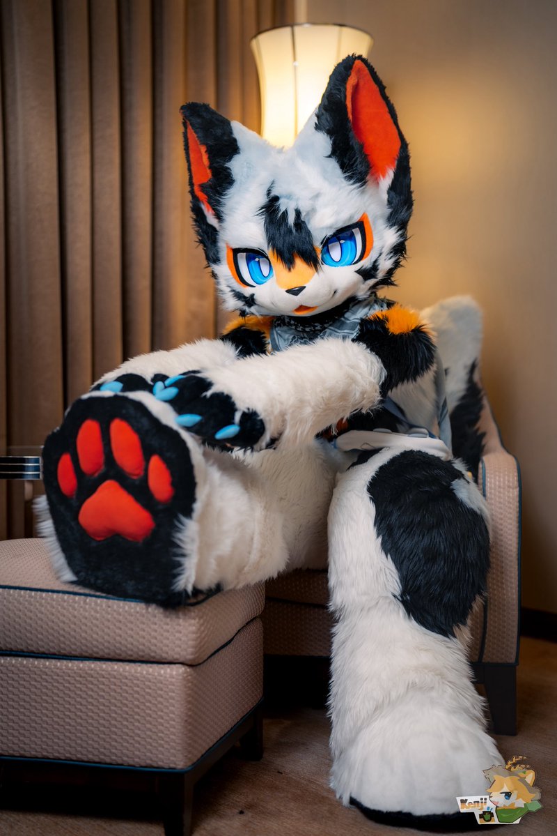 Jeffrey86334455's tweet photo. #FursuitFriday 
差点忘记发毛五了 https://t.co/KKeA3NESv0