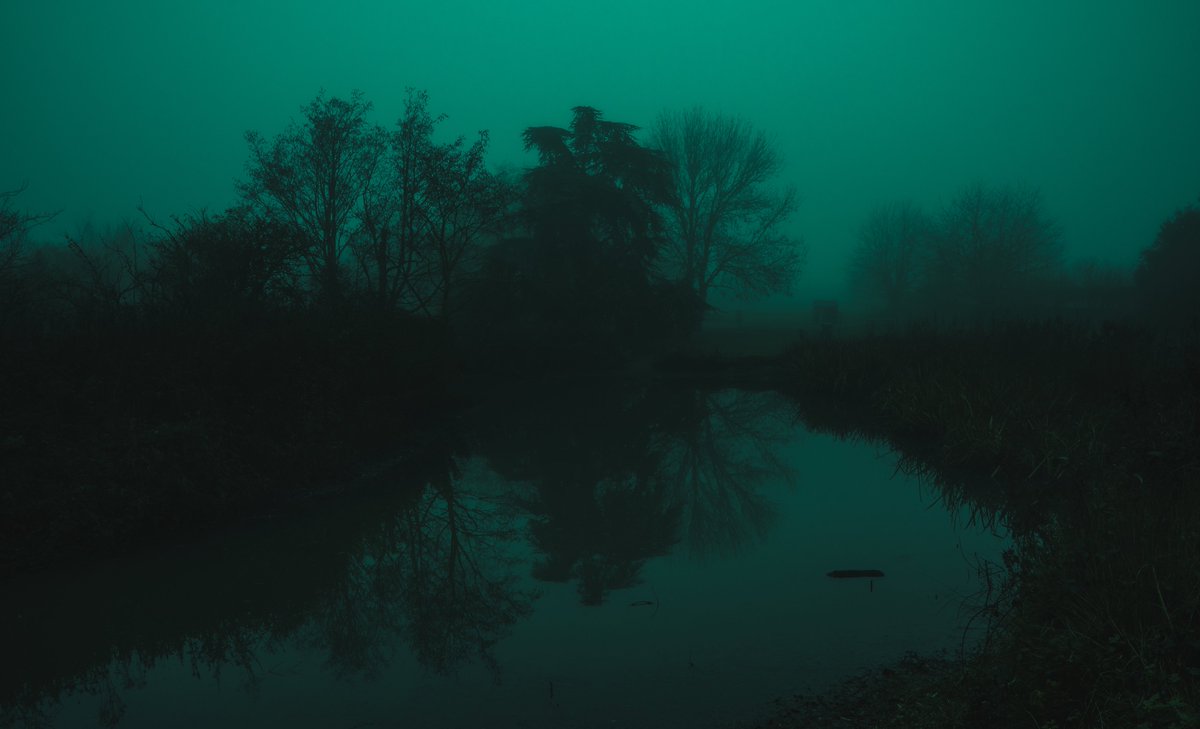 zosphotos's tweet photo. The sound of silence https://t.co/DNgMGG8YdK