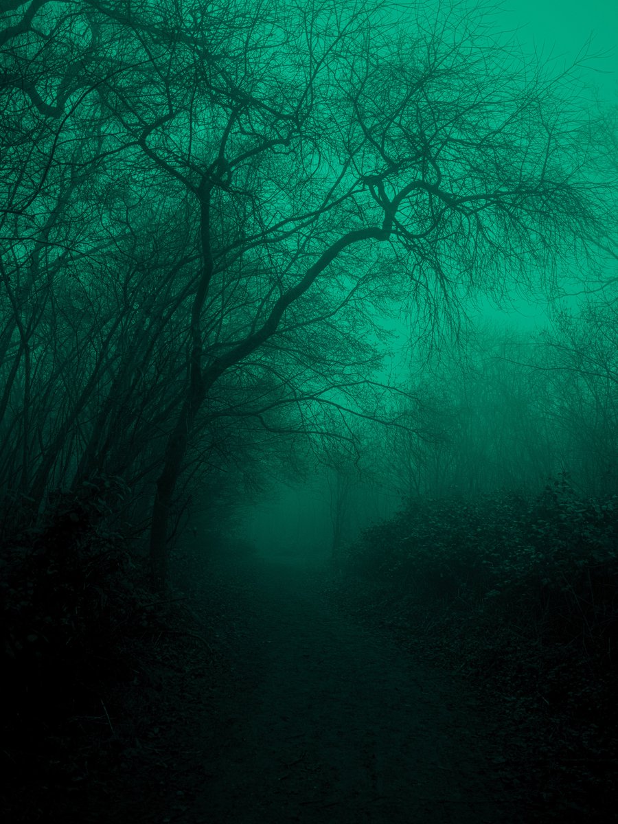 zosphotos's tweet photo. The sound of silence https://t.co/DNgMGG8YdK