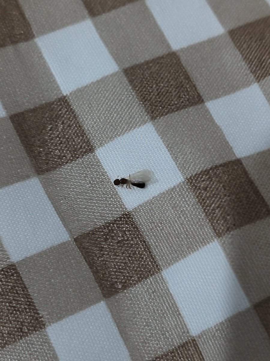 katxzvbe's tweet photo. Hi there lil guy!!!! https://t.co/9wEjwKgRFD