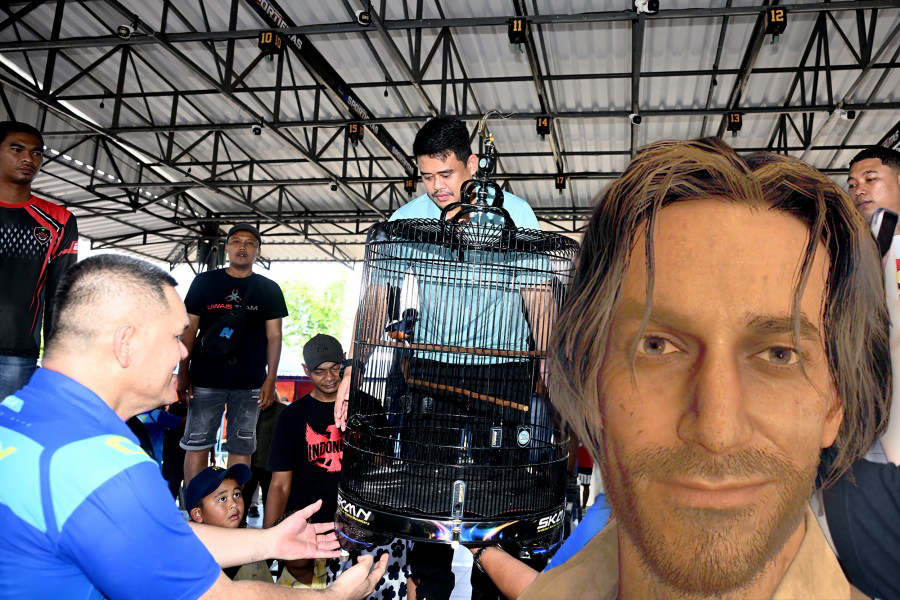 RumahSagara's tweet photo. @RumahAlpha @RumahAheng Ini slh stu burung sy.., https://t.co/hvMS1iexxQ