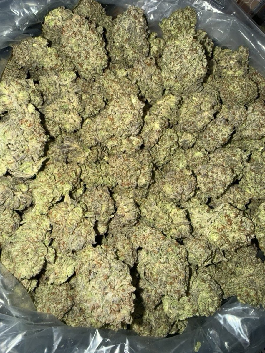 bless3982321891's tweet photo. Tap in 🚩#Dallas #Texas #Plug #Gas #Exotic #Frisco #Plano #Richardson #Tapin #buds #sativa #indica #meetup #meetups #weed #canabis #Houston #Lewisville #Garland #Rowlett #Addison #westchase #westheimer #Houstonplug #houstonWeed #alief #Beltway #shroom #Gas #plug #weed #coke https://t.co/hODjNHHhMW