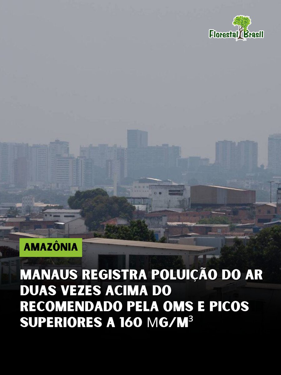 florestalbrasil's tweet photo. A fumaça das queimadas voltou a comprometer a qualidade do ar em Manaus. Dados da RedeAr, analisados por pesquisadores do Instituto de Pesquisa Ambiental da Amazônia (IPAM), mostram que a concentração média de material particulado fino (PM2,5) superou 30 µg/m³ em setembro.

A diretriz da Organização Mundial da Saúde recomenda até 15 µg/m³ para a média diária. No dia 23, sensores instalados na capital amazonense registraram picos acima de 160 µg/m³, mais de dez vezes esse valor de referência.

O PM2,5 é formado por partículas com menos de 2,5 micrômetros de diâmetro. Por serem extremamente pequenas, elas conseguem penetrar profundamente nos pulmões e podem alcançar a corrente sanguínea.

A exposição está associada a irritações e inflamações das vias respiratórias, agravamento de doenças pulmonares e cardiovasculares e aumento do risco de câncer de pulmão. Crianças, idosos, gestantes e povos indígenas estão entre os grupos mais vulneráveis.

Segundo o IPAM, a piora coincide com o aumento dos focos de calor na Região Metropolitana de Manaus. Em Manacapuru, a área queimada entre janeiro e agosto chegou a aproximadamente 2 mil hectares, aumento de 293% em relação a 2025. Em Iranduba, a alta foi de 212%.

Pesquisadores apontam ainda que o El Niño pode estar contribuindo para alterar a circulação atmosférica, favorecendo o transporte da fumaça para Manaus e municípios vizinhos.

Embora a área queimada no Amazonas tenha diminuído 26% no acumulado de janeiro a agosto, o crescimento das queimadas próximas à capital mostra que a localização do fogo também é determinante para a qualidade do ar.

Em 2025, o Amazonas já havia registrado 67 dias acima de 15 µg/m³ de PM2,5, segundo dados do IPAM.

Fonte: ((o))eco.

#amazônia #manaus #queimadas #qualidadedoar #elniño