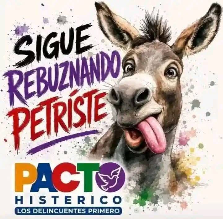 Jessantonio02c1's tweet photo. @Patrici93688966 @FisicoImpuro Así son todos los zurdos de mierda 🤮🤮🐀🖕 habladores de mierda🖕🖕 bodeguera 🤮 https://t.co/PiaVzc52ap