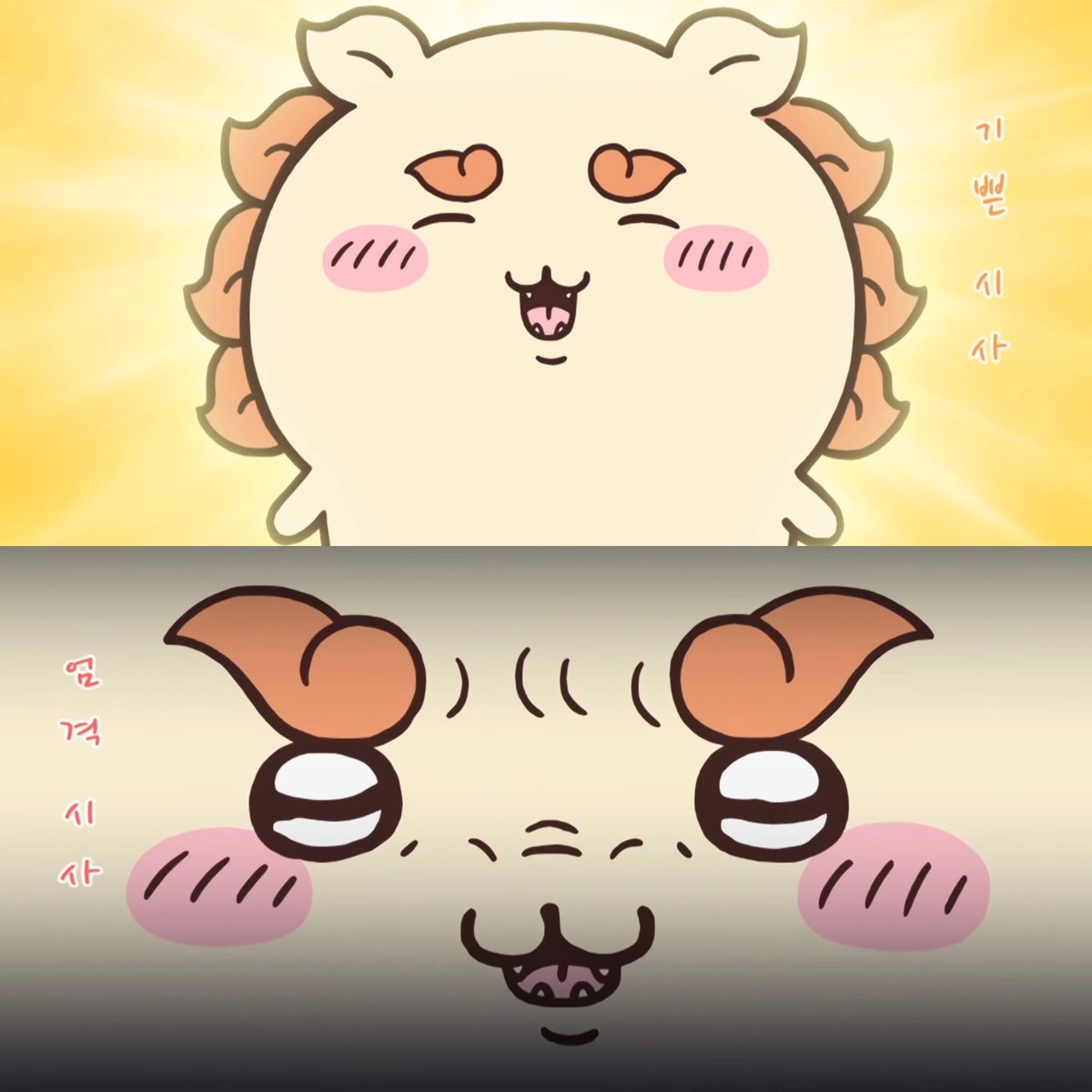 oichichio's tweet photo. 기쁜시사 엄격시사
너 이만큼 두 얼굴이라고? https://t.co/JHrGzqnhdm
