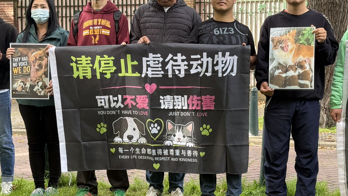 feilung_lau's tweet photo. Today, at the Chinese Embassy in the Netherlands.

#JusticeForWangWang #StopAnimalCrueltyChina #notoanimalabuse #DenHaag https://t.co/56ZBaR0q25