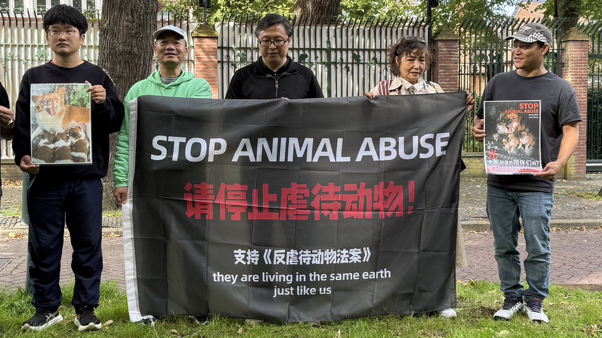feilung_lau's tweet photo. Today, at the Chinese Embassy in the Netherlands.

#JusticeForWangWang #StopAnimalCrueltyChina #notoanimalabuse #DenHaag https://t.co/56ZBaR0q25