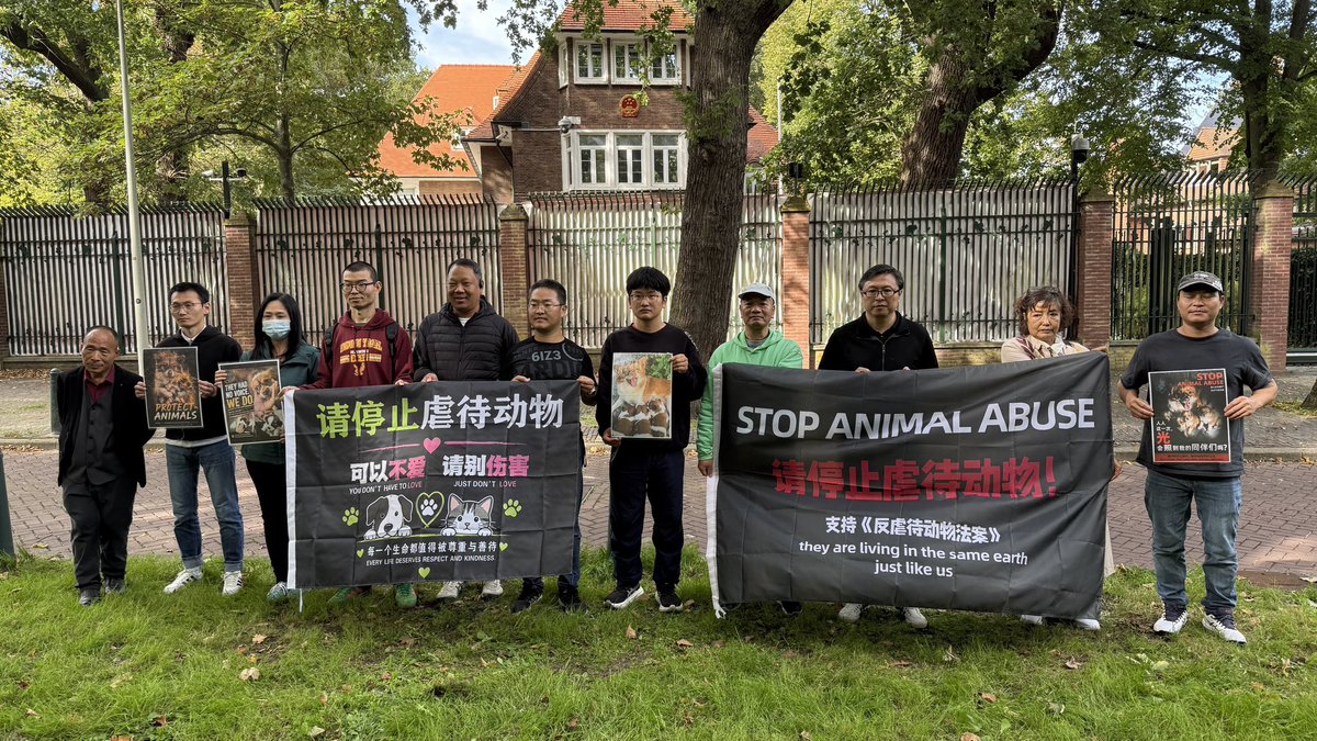 feilung_lau's tweet photo. Today, at the Chinese Embassy in the Netherlands.

#JusticeForWangWang #StopAnimalCrueltyChina #notoanimalabuse #DenHaag https://t.co/56ZBaR0q25