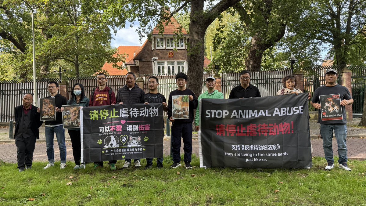 feilung_lau's tweet photo. Today, at the Chinese Embassy in the Netherlands.

#JusticeForWangWang #StopAnimalCrueltyChina #notoanimalabuse #DenHaag https://t.co/56ZBaR0q25