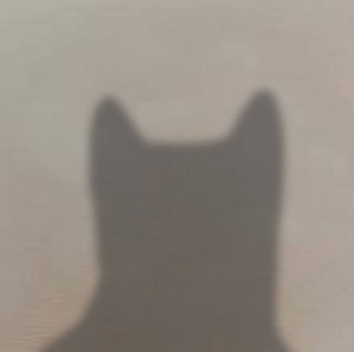 RIBZiSDEAD's tweet photo. @GoatGems Trick question. There isnt one. https://t.co/t84LBYnp8c
