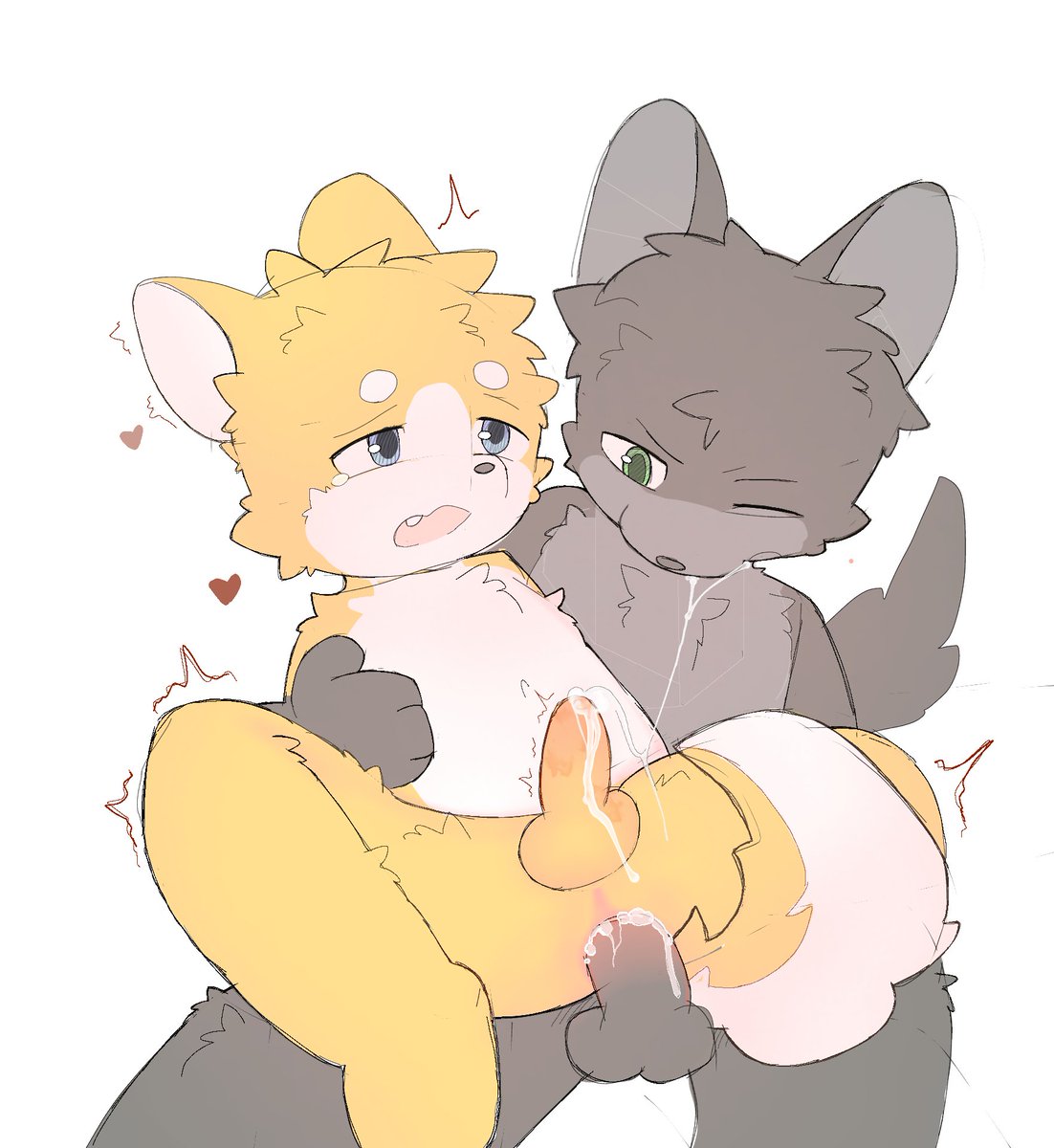 Mokach0's tweet photo. #furry 
Buddy https://t.co/ZTfHeYEAgL