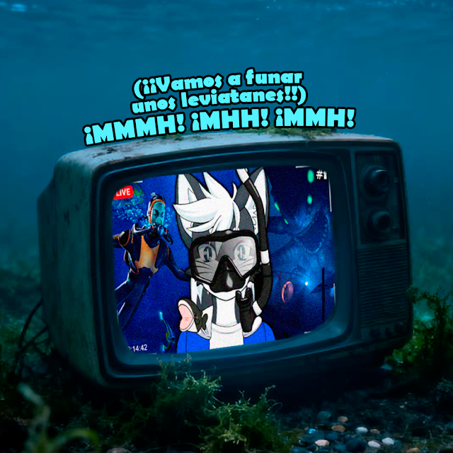 ElPoolVT tweet picture