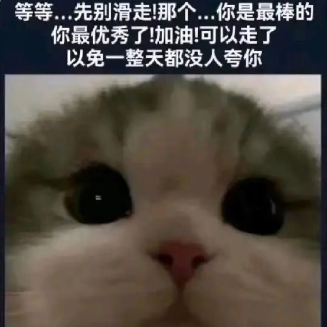 bbkk23333's tweet photo. 摸摸头喵，抱抱今天也很棒哦 https://t.co/VYCtHGviCF