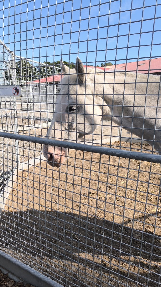 Kurehapwq's tweet photo. ヤッコはいつものとこ。
今日はシマウマじゃなかった。 https://t.co/MunfHnNHk8