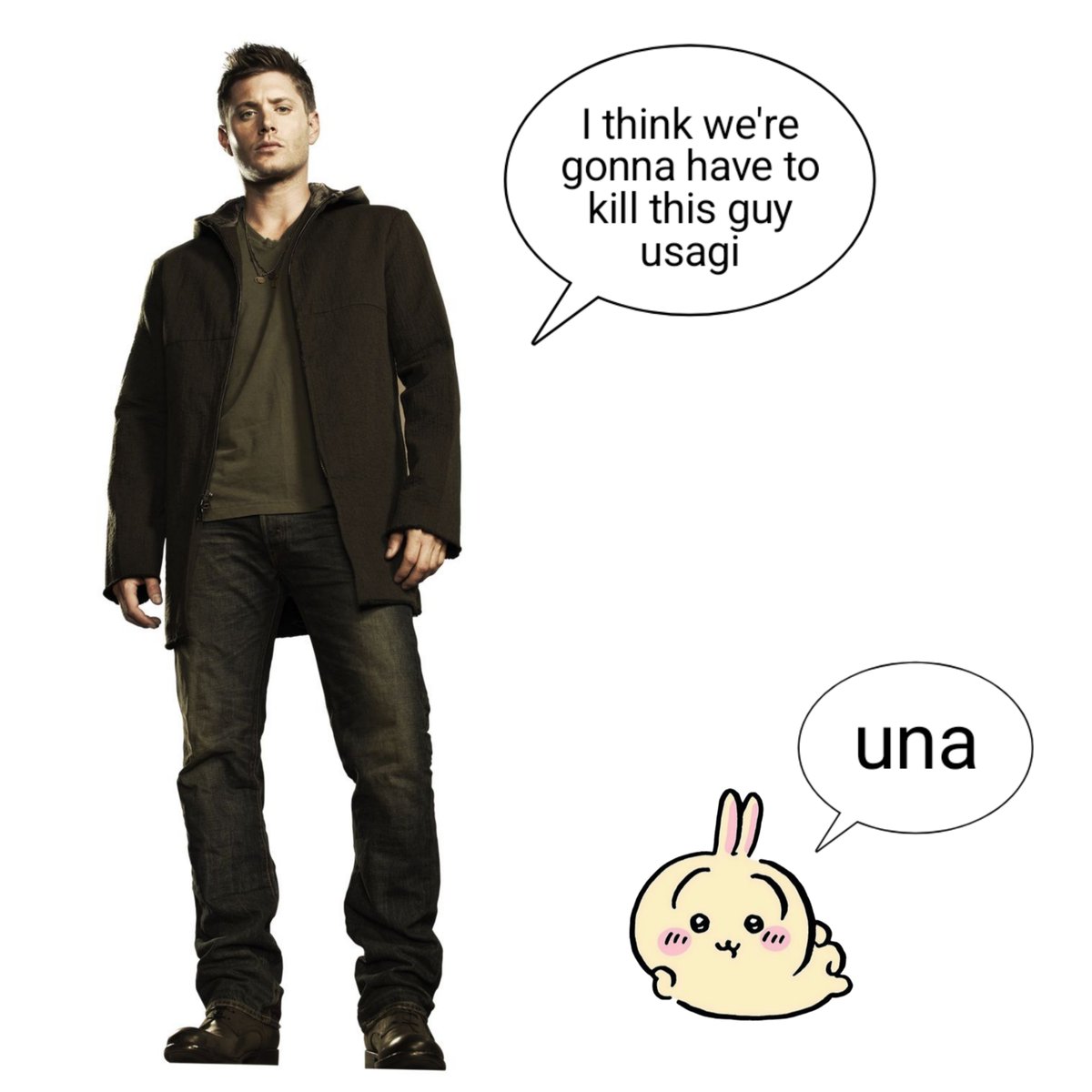 pig_in_a tweet picture