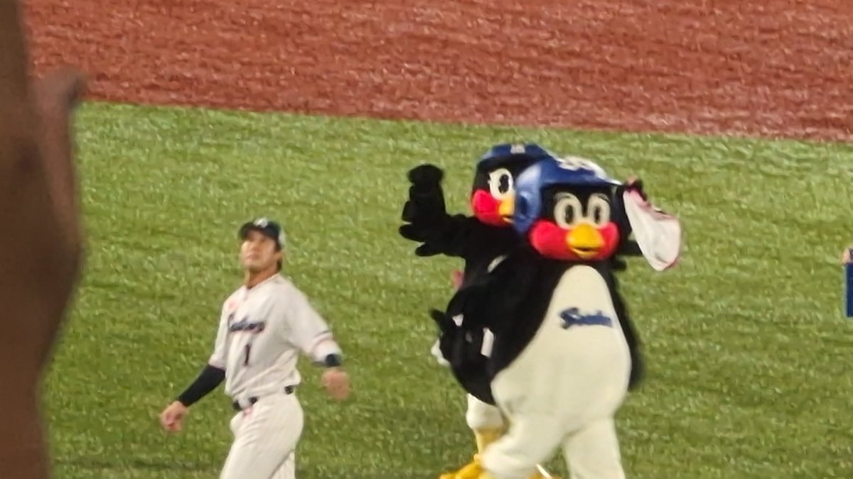 sakuya_nagi's tweet photo. 僕らはこれが見たかった、結局南極みんな大好きやまーだてつとー！　すわほー！
#Swallows 
#山田哲人 https://t.co/sP7nZAZDzm