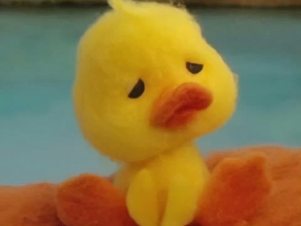iconiqtear's tweet photo. quack-quack 🐤🐤🐤 https://t.co/GwLw0k3TD1