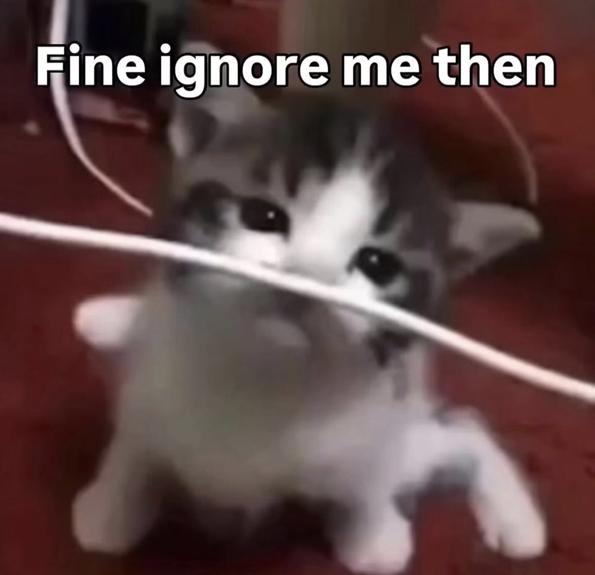 fruitpibble's tweet photo. https://t.co/DNknUpSoqM