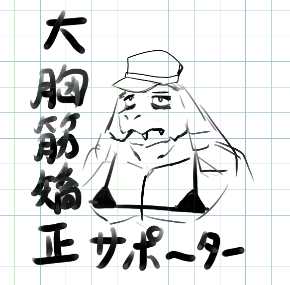 iOScythe's tweet photo. 大胸筋矯正サポーター https://t.co/pURVNX4kqY